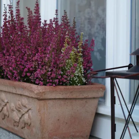 Appartement Loftwohnung Beim Winzer - Gruen & Stadtnah - Hund Willkommen Langebruck