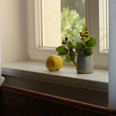 Loftwohnung Beim Winzer - Gruen & Stadtnah - Hund Willkommen * Langebruck