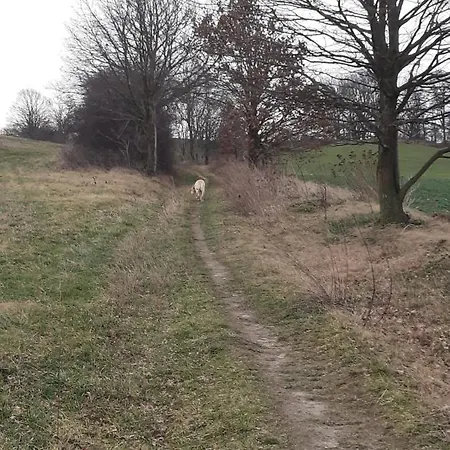 Loftwohnung Beim Winzer - Gruen & Stadtnah - Hund Willkommen Appartement *