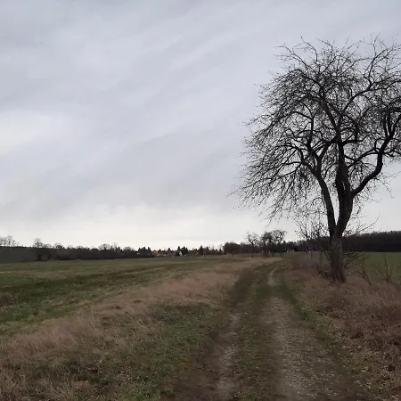 Loftwohnung Beim Winzer - Gruen & Stadtnah - Hund Willkommen Appartement *