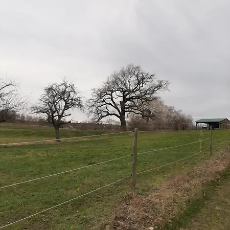 Appartement Loftwohnung Beim Winzer - Gruen & Stadtnah - Hund Willkommen Langebruck