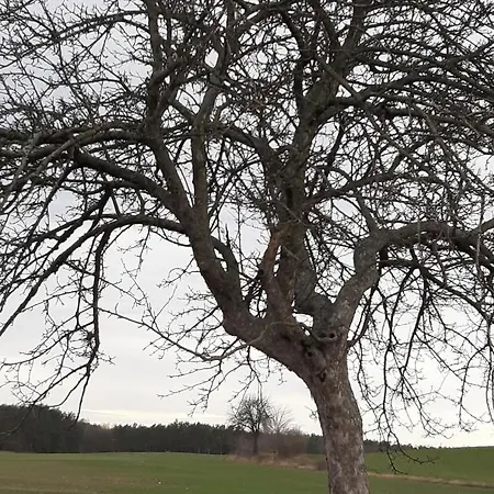 Appartement Loftwohnung Beim Winzer - Gruen & Stadtnah - Hund Willkommen Langebruck